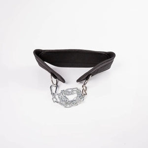 Dip Belt